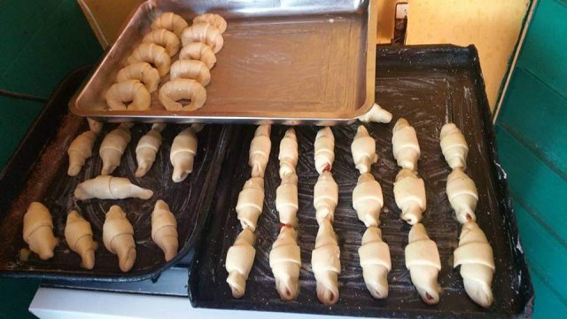 Nuestras Actividades